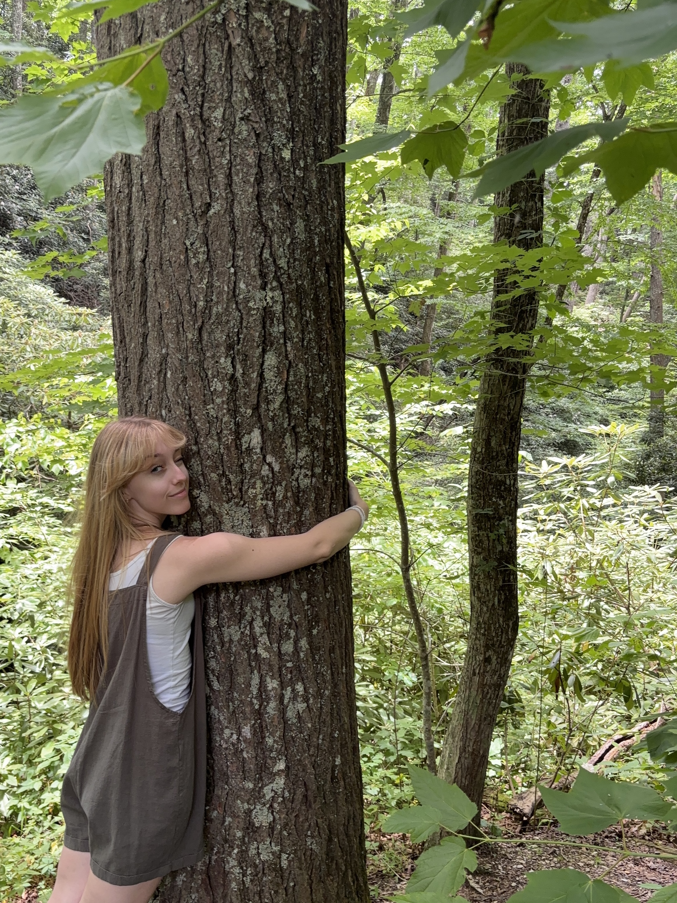 Hiking in the woods